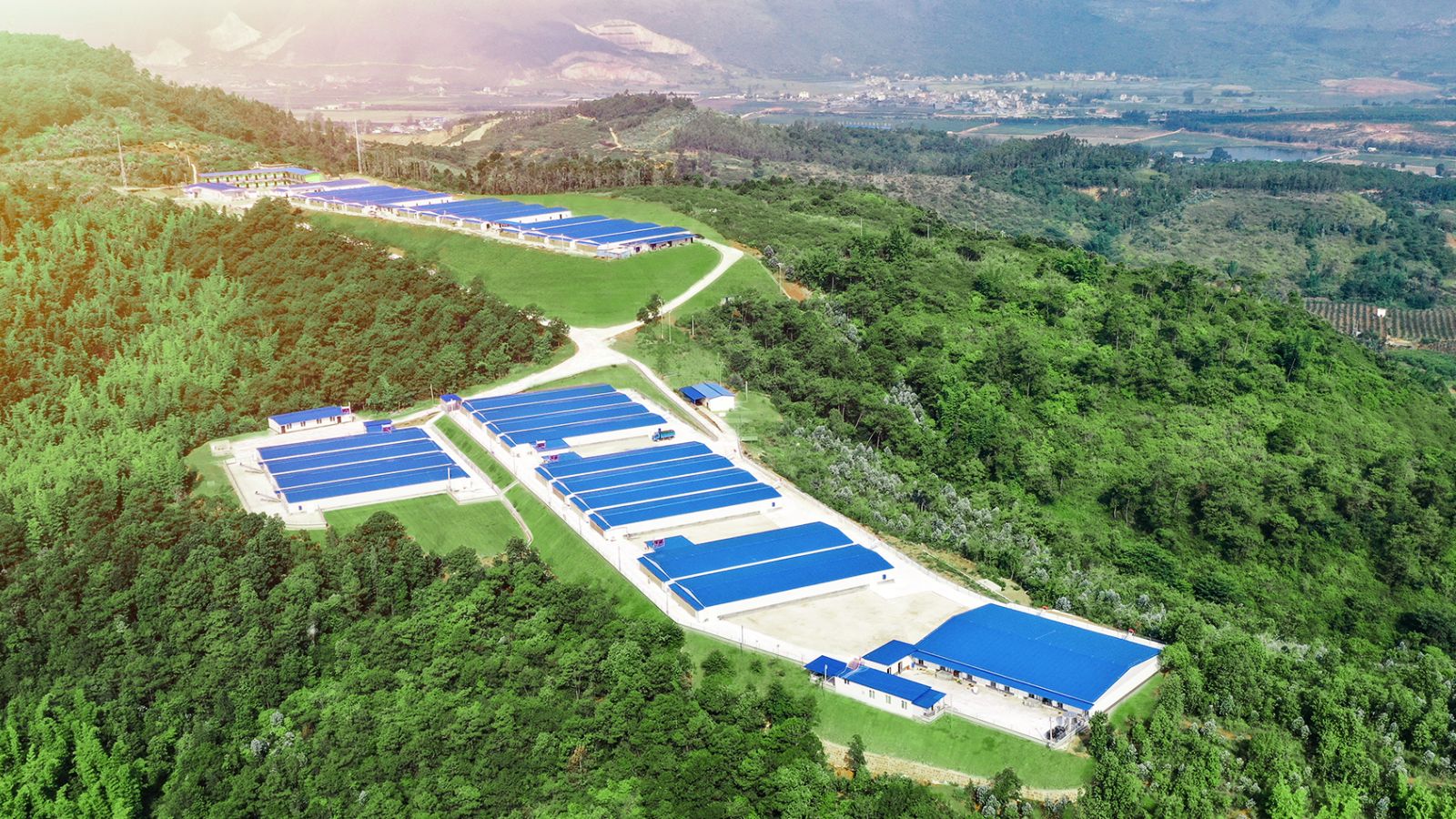 نبذة عن شركتنا
   