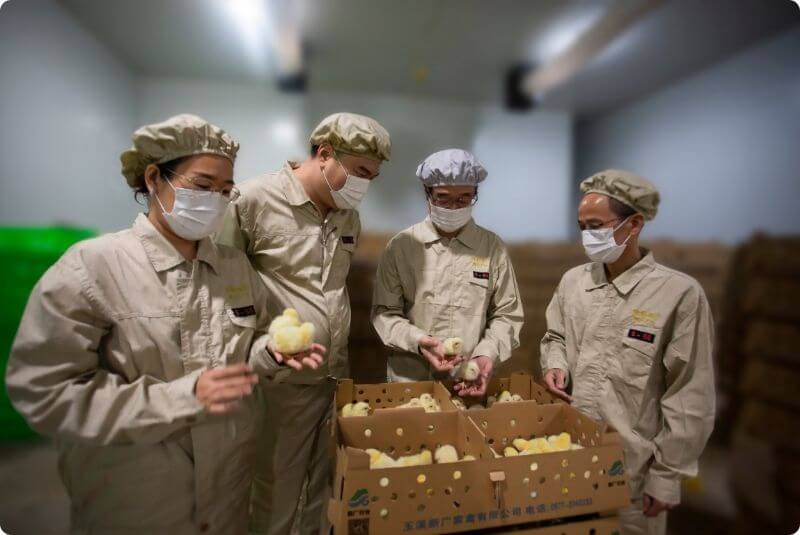 الابتكار المستمر
   