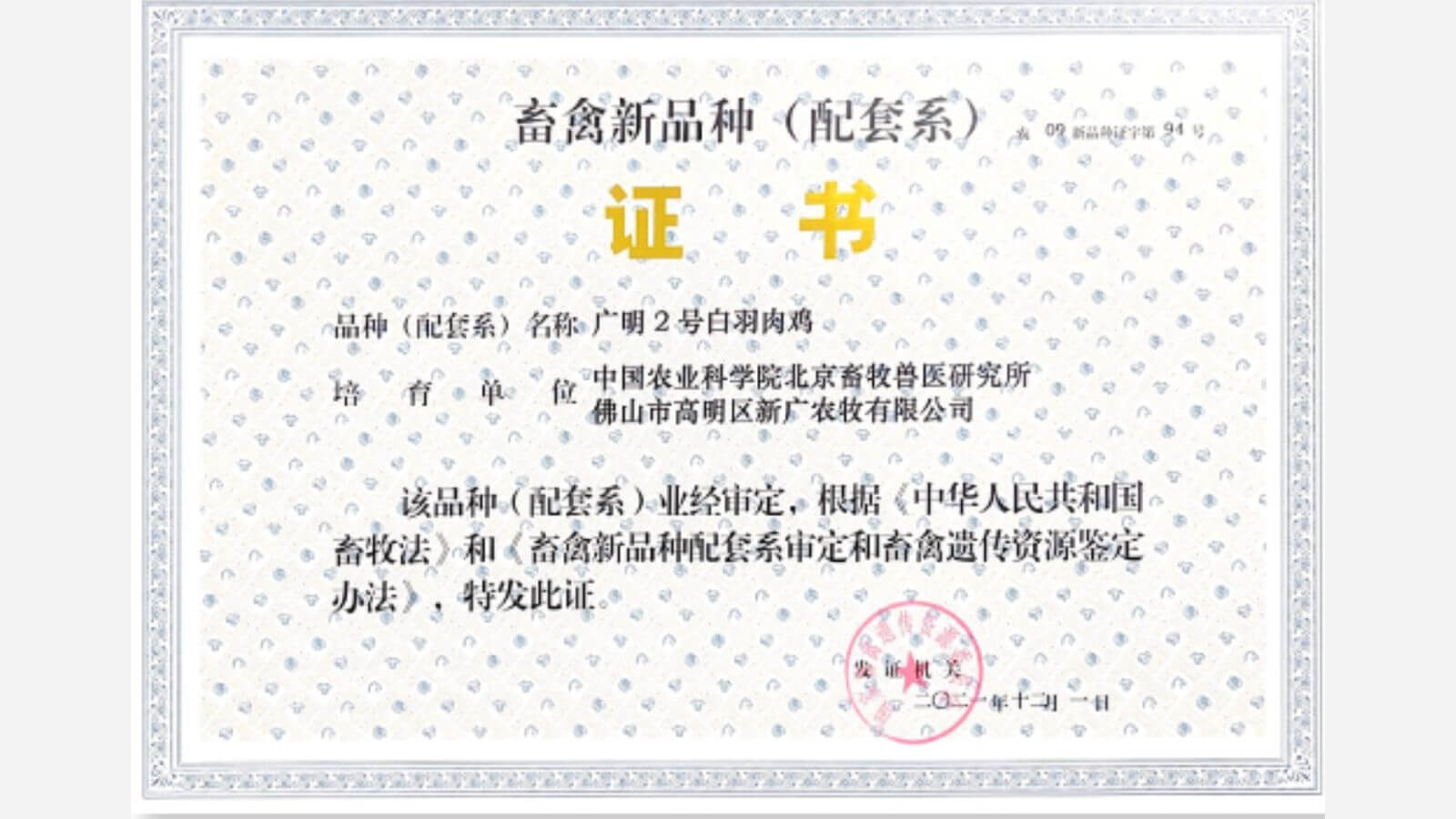 2024-2025: التوسع الخارجي
   