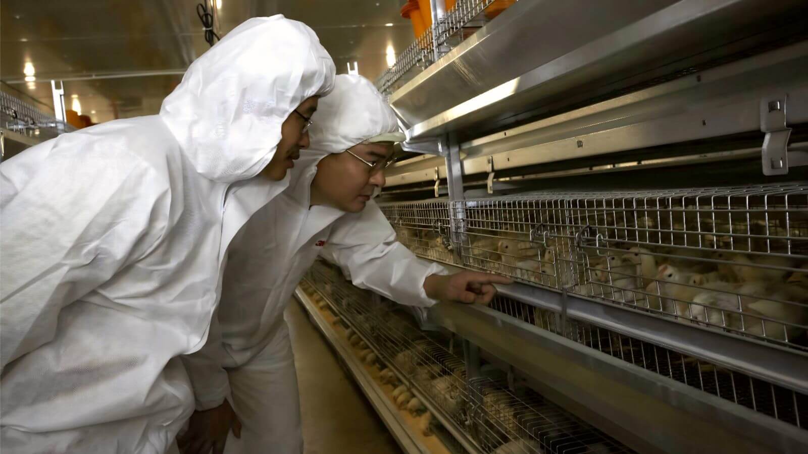 إطلاق تربية مستقلة
   