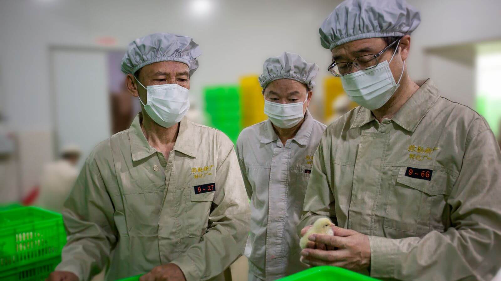 2014–2017: التكامل بين الصناعة والأوساط الأكاديمية
   